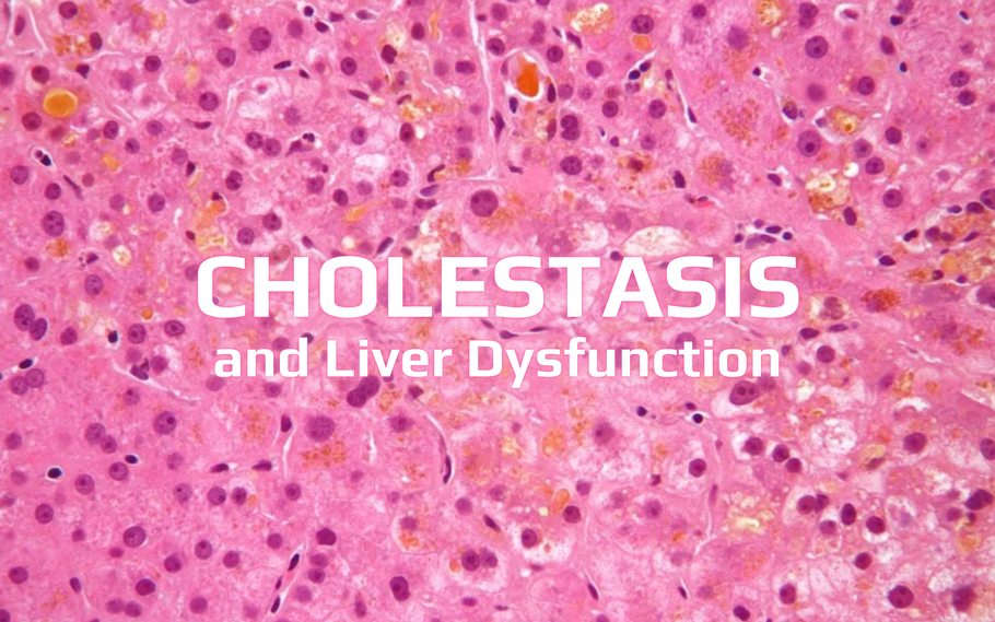 Cholestasis and Liver Dysfunction